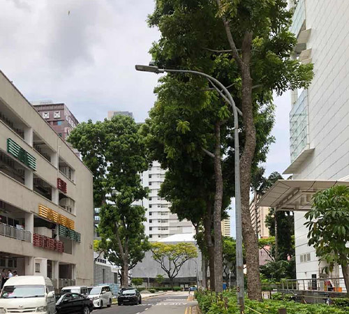 Street light project